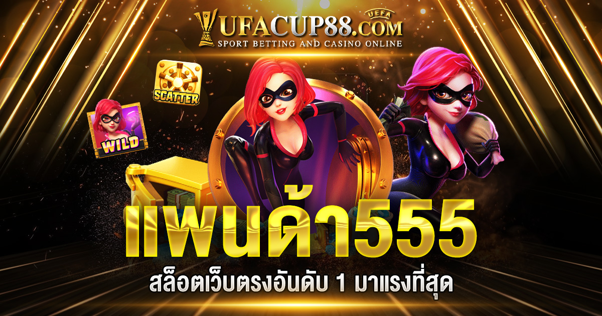 แพนด้า555